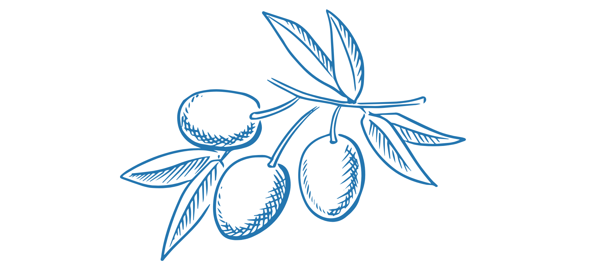 The Wedding Website of Samantha Kaitlin Abramovich and Joshua Cole Taylor