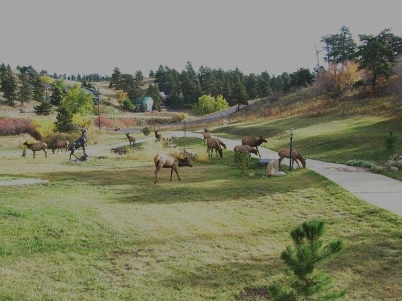 The Wedding Website of Lynlee Downs and Mitch Montgomery