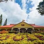 Dole Plantation