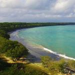 Buccoo Beach
