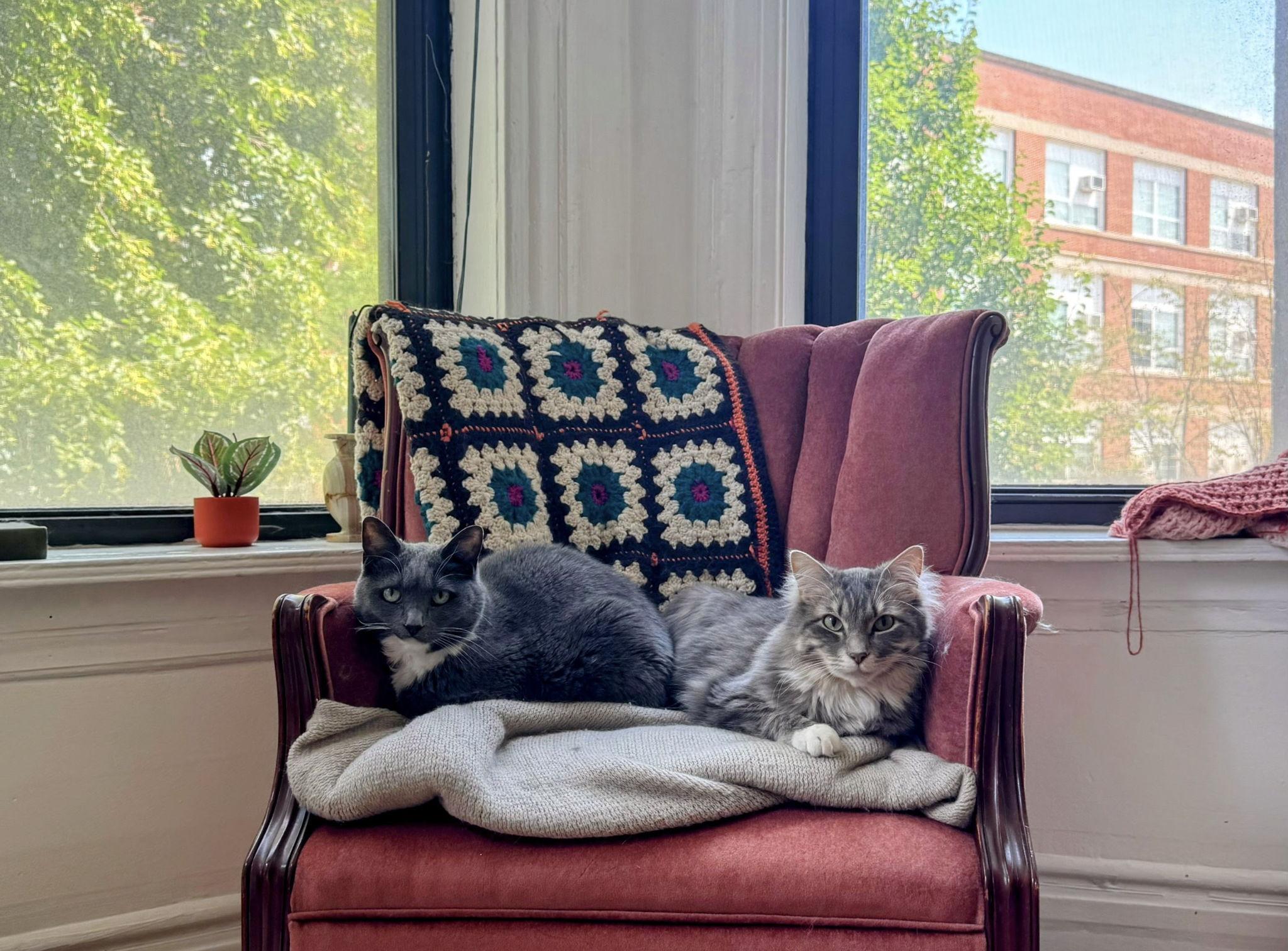 The Wedding Website of Jared Seiber and Jenna Beckwith