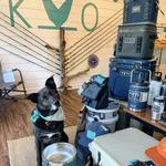 Kismet Outfitters