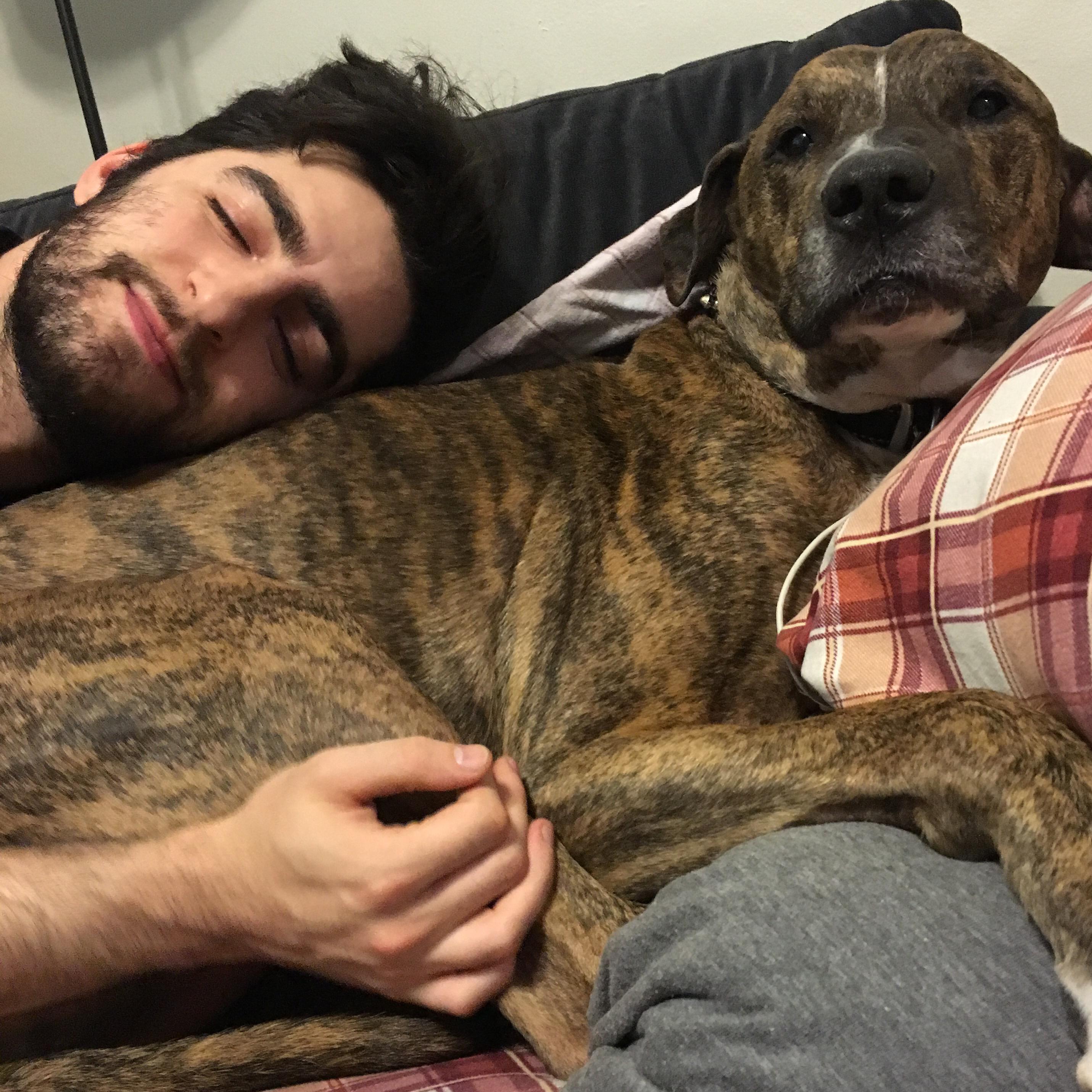 That time that Alex and Ari experienced the pure bliss of an afternoon nap