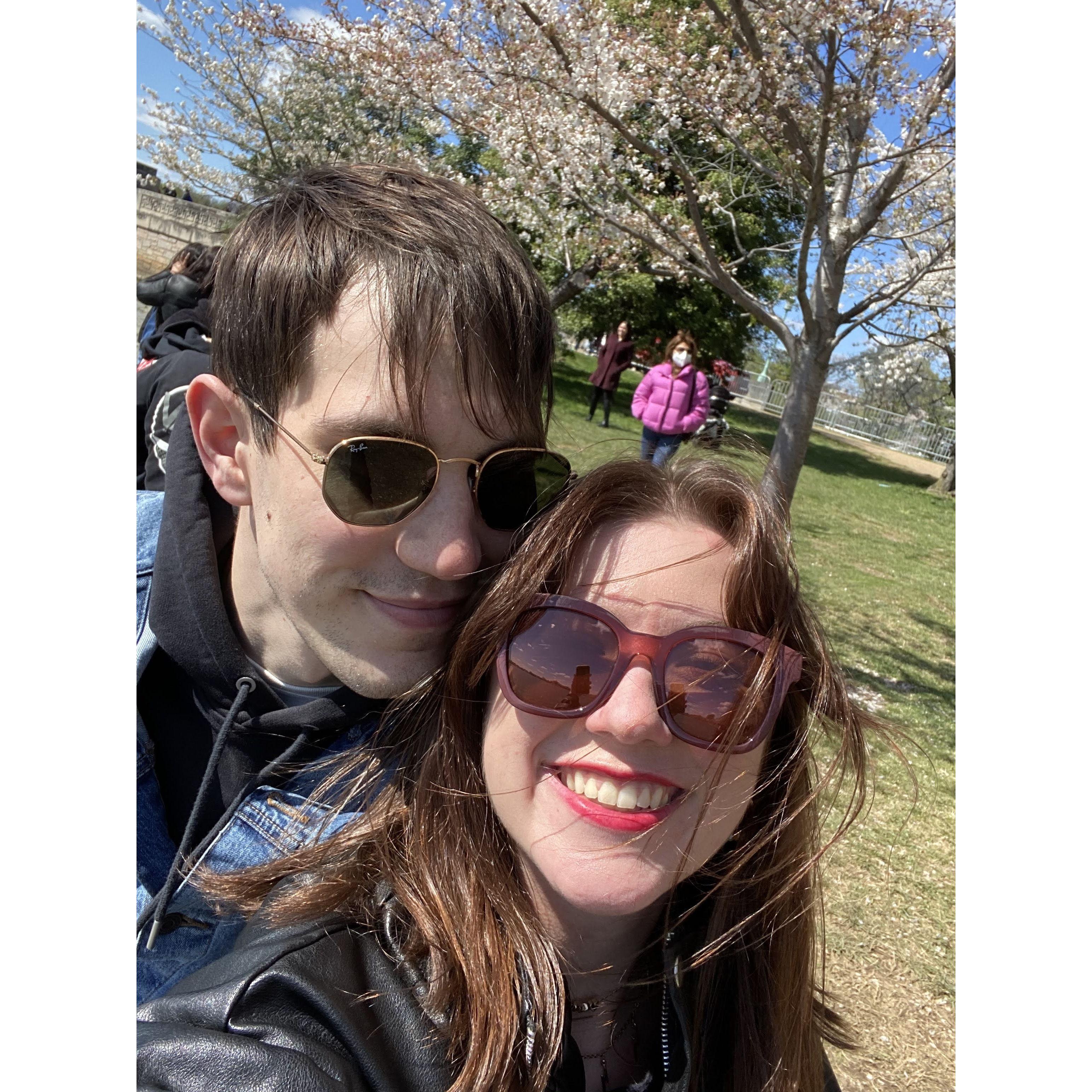A trip to DC for the cherry blossoms