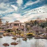 Japanese Tea Garden