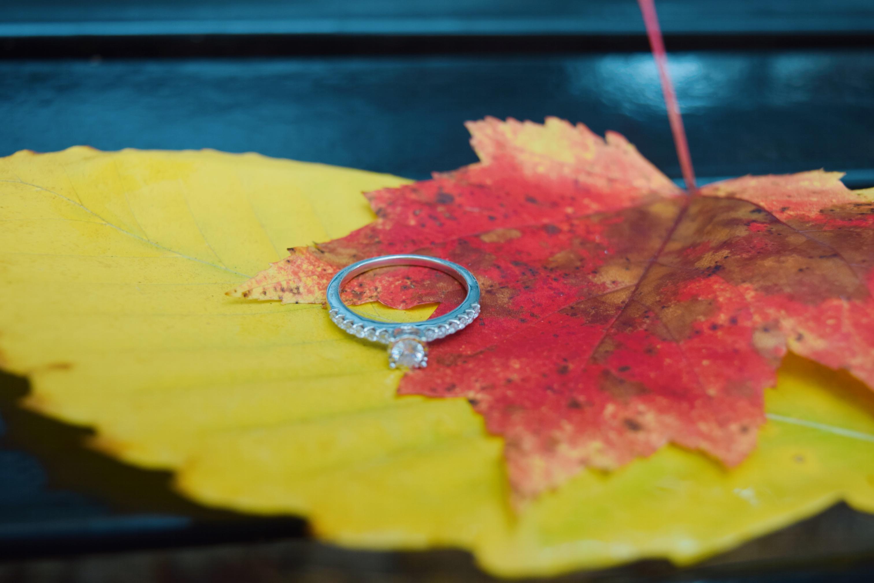 The Wedding Website of Erika Davis and Kyle Biter