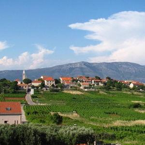 Bike & Wine Tour in Lumbarda