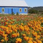 Arnosky Family Farm & Market