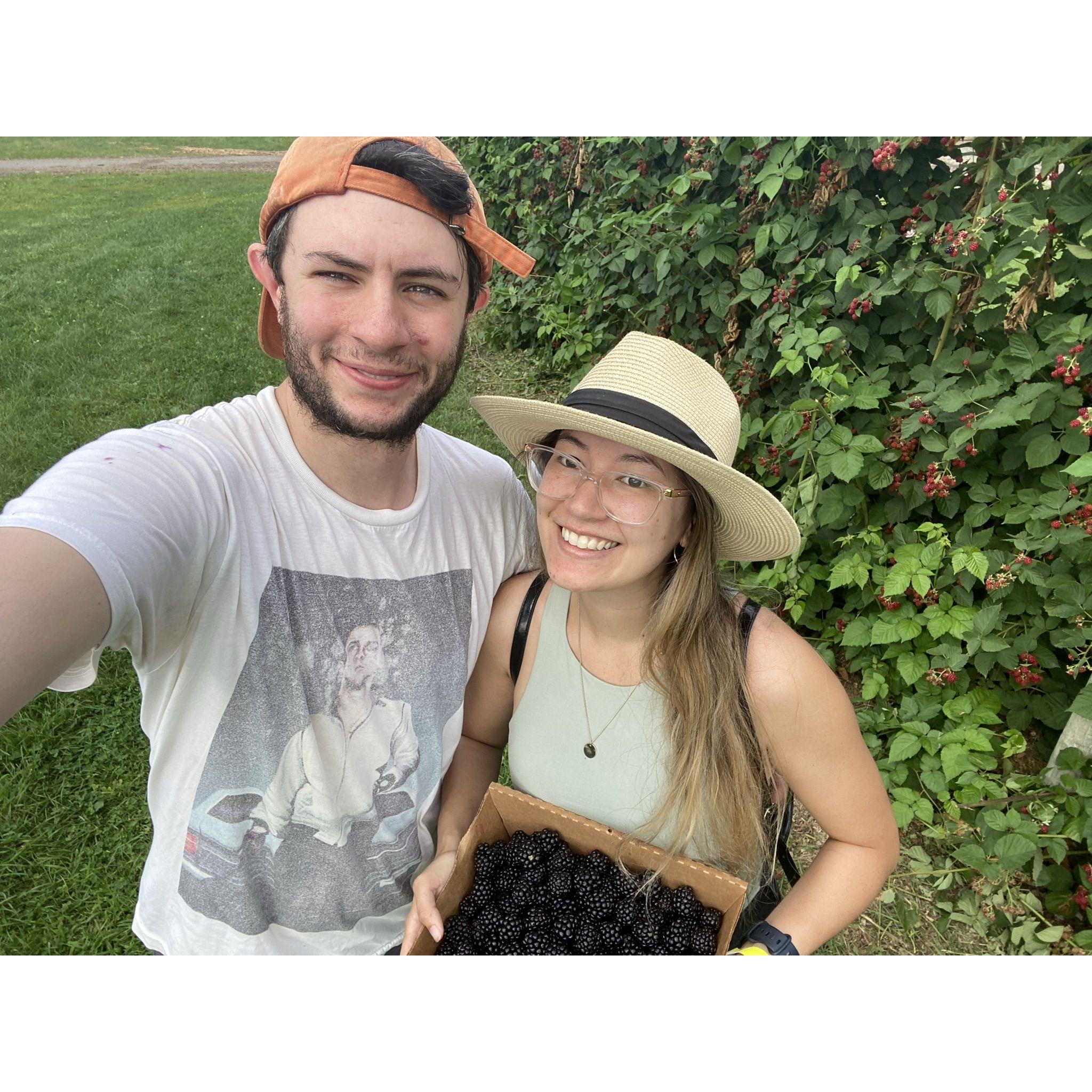 Berry picking in Massachusetts in 2021.