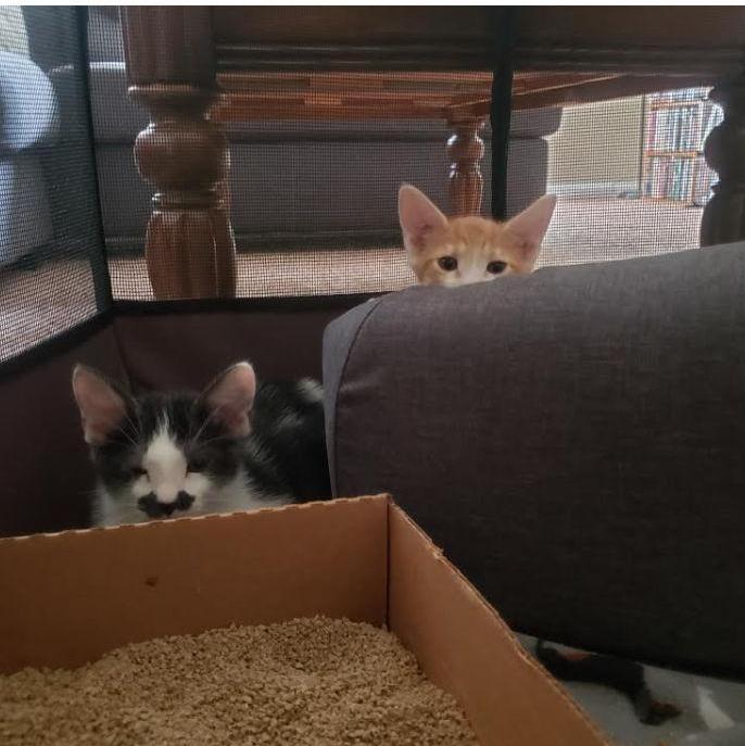 New Friends First Day Home 2021