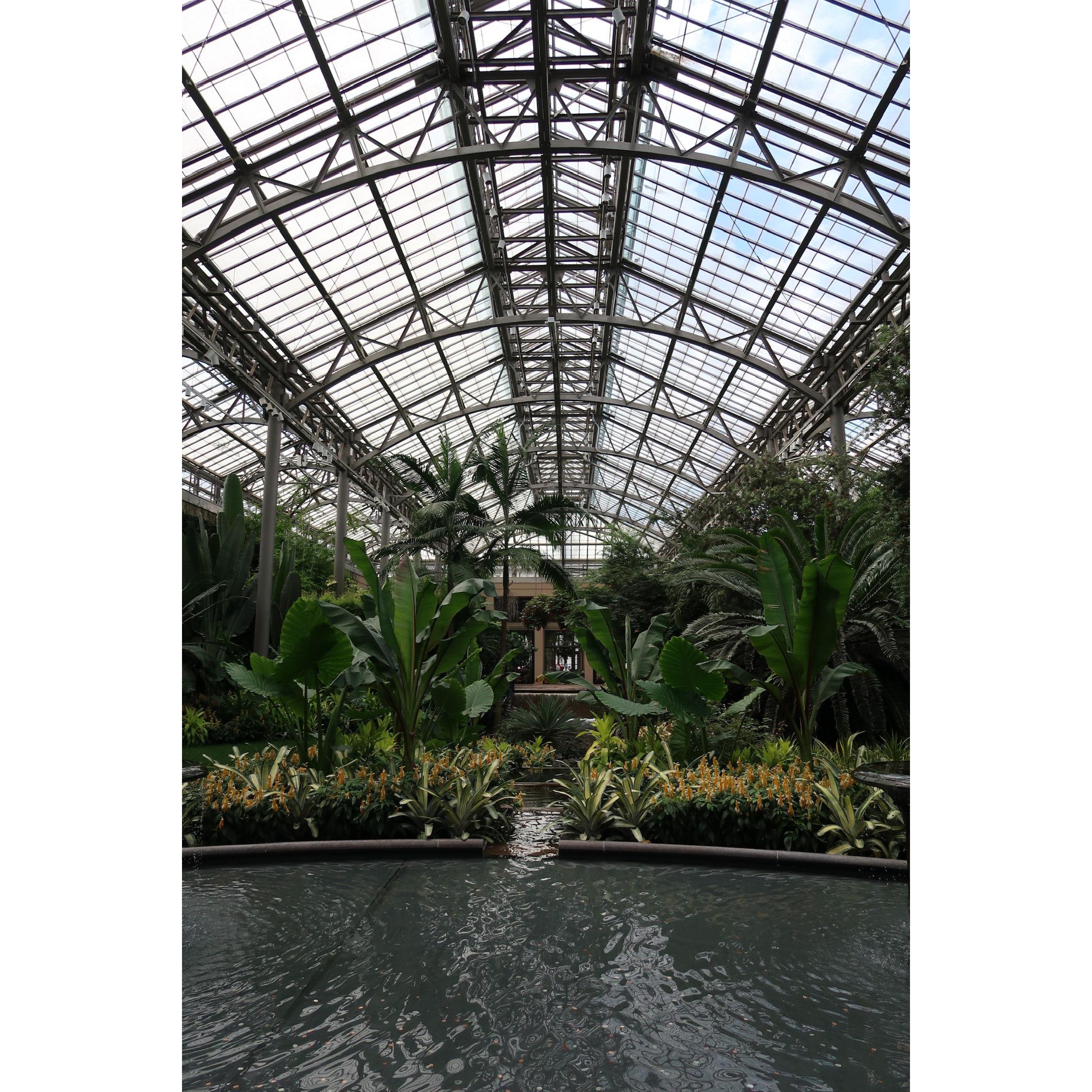 From our engagement at Longwood Gardens