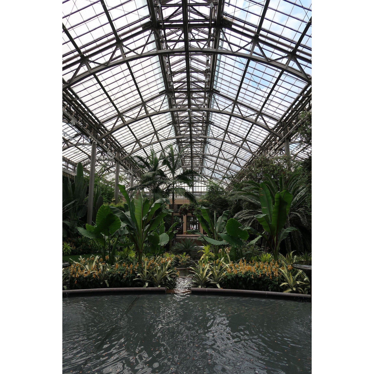 From our engagement at Longwood Gardens