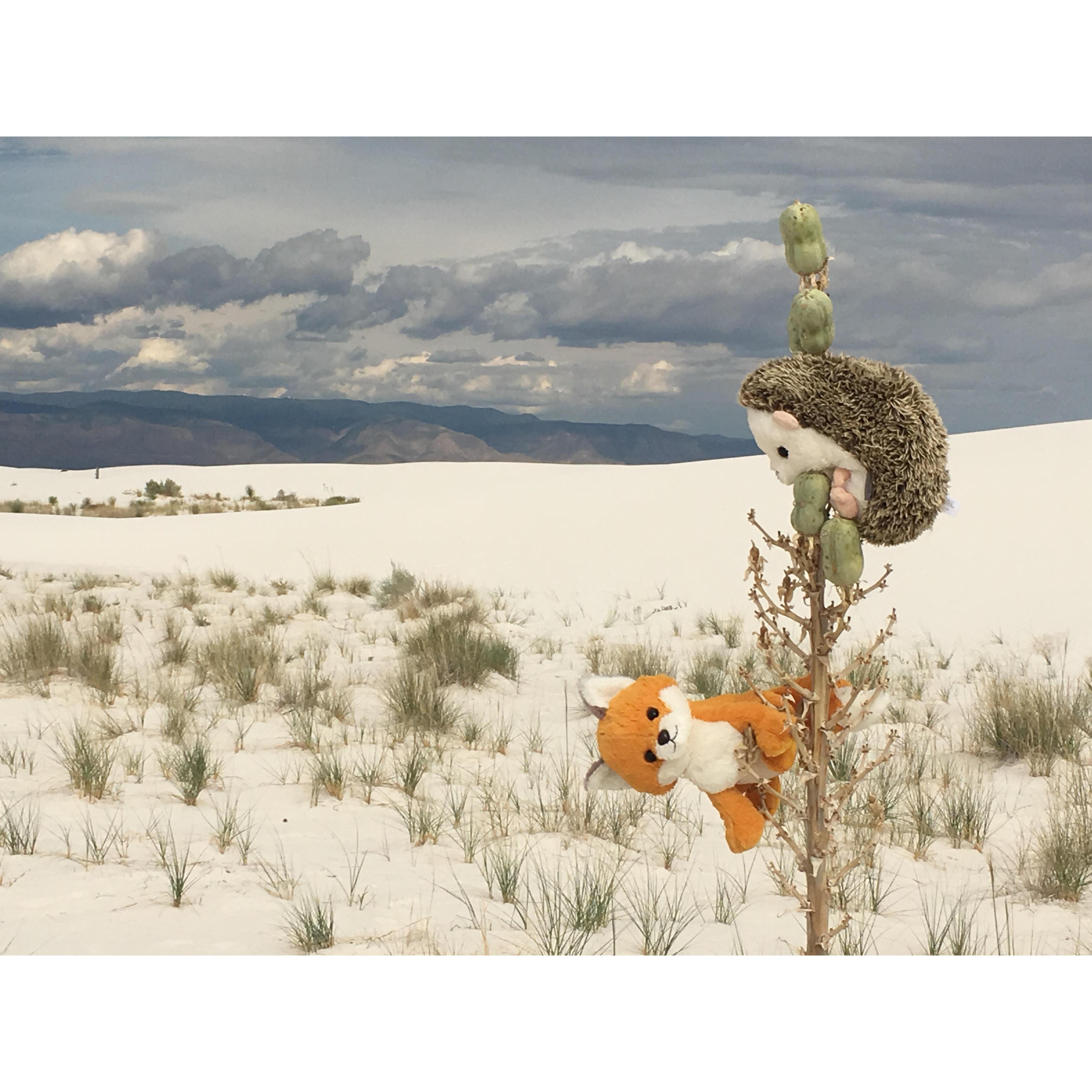 White Sands National Park