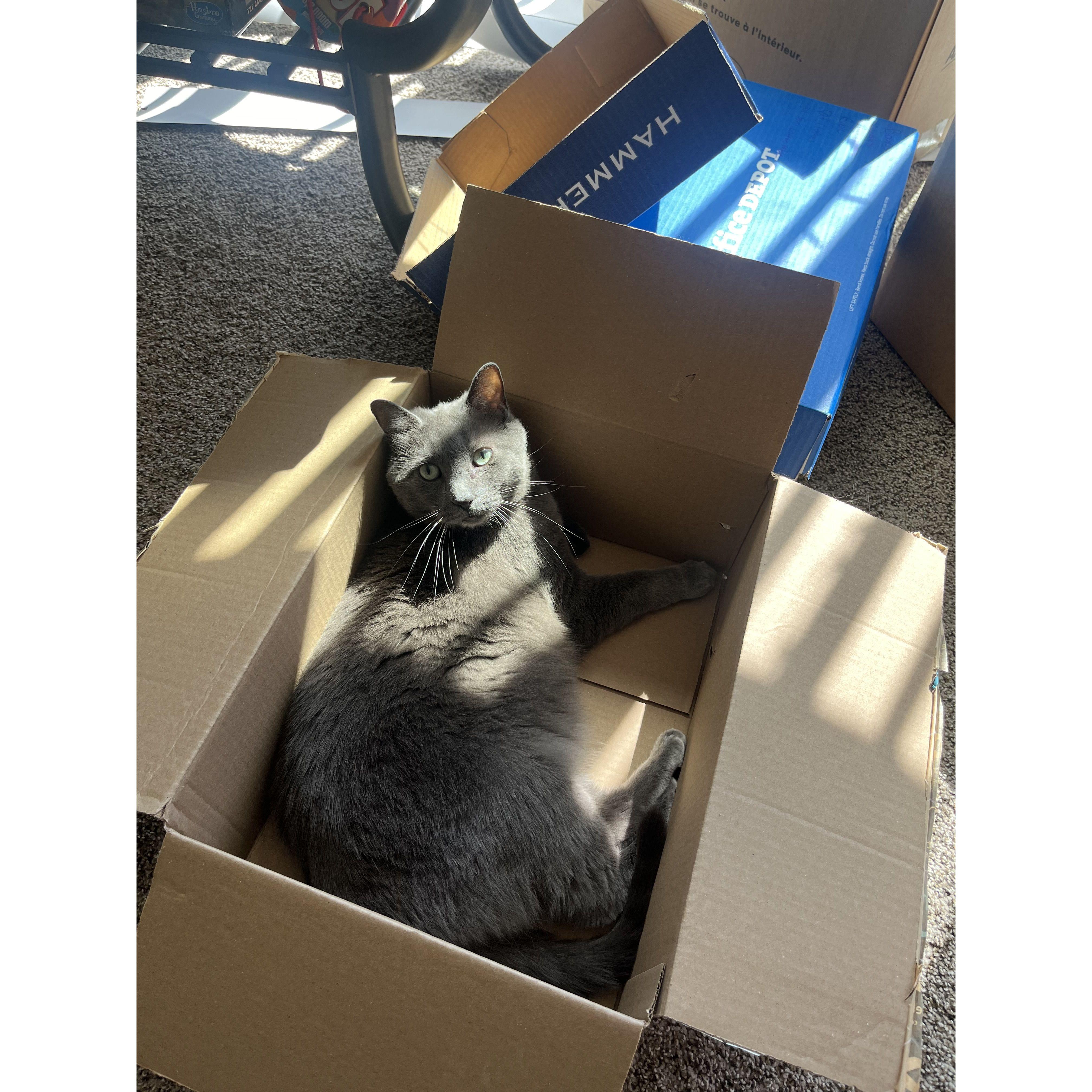 Baloo Bear- The one who loves cuddles and attention