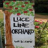 LuceLine Orchard, Best Apple Orchards in MN