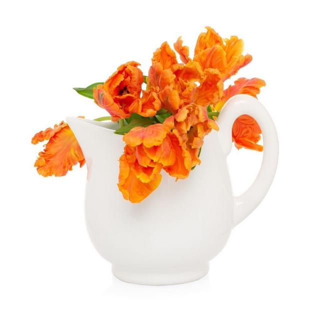 Original Lemonade Pitcher