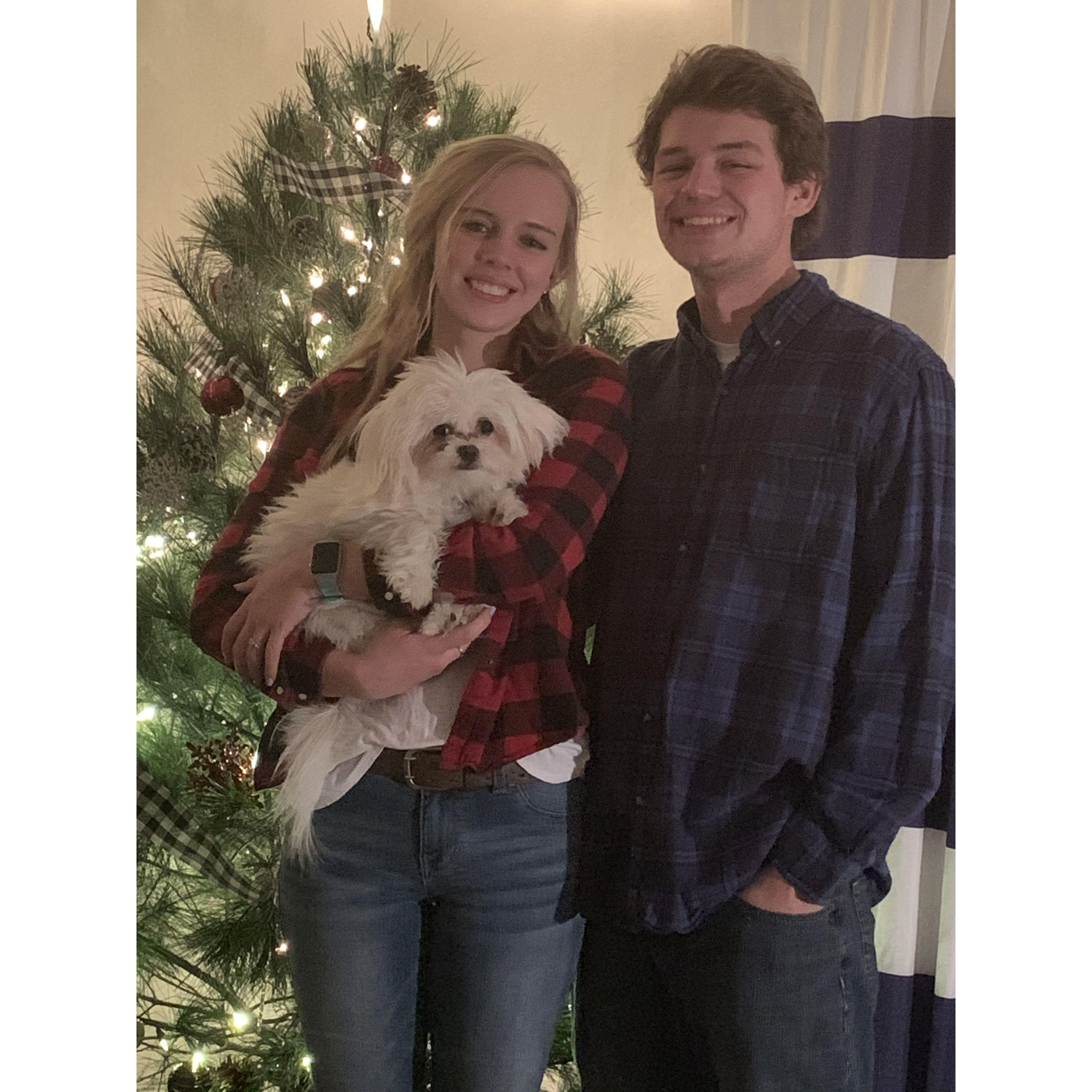 our first Christmas in the apartment with willow, trying to take a nice picture for our first Christmas card.