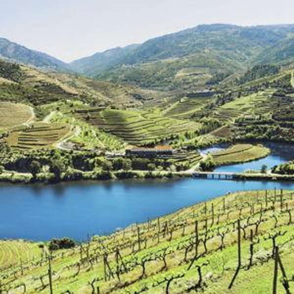 Douro Valley Wine Tour