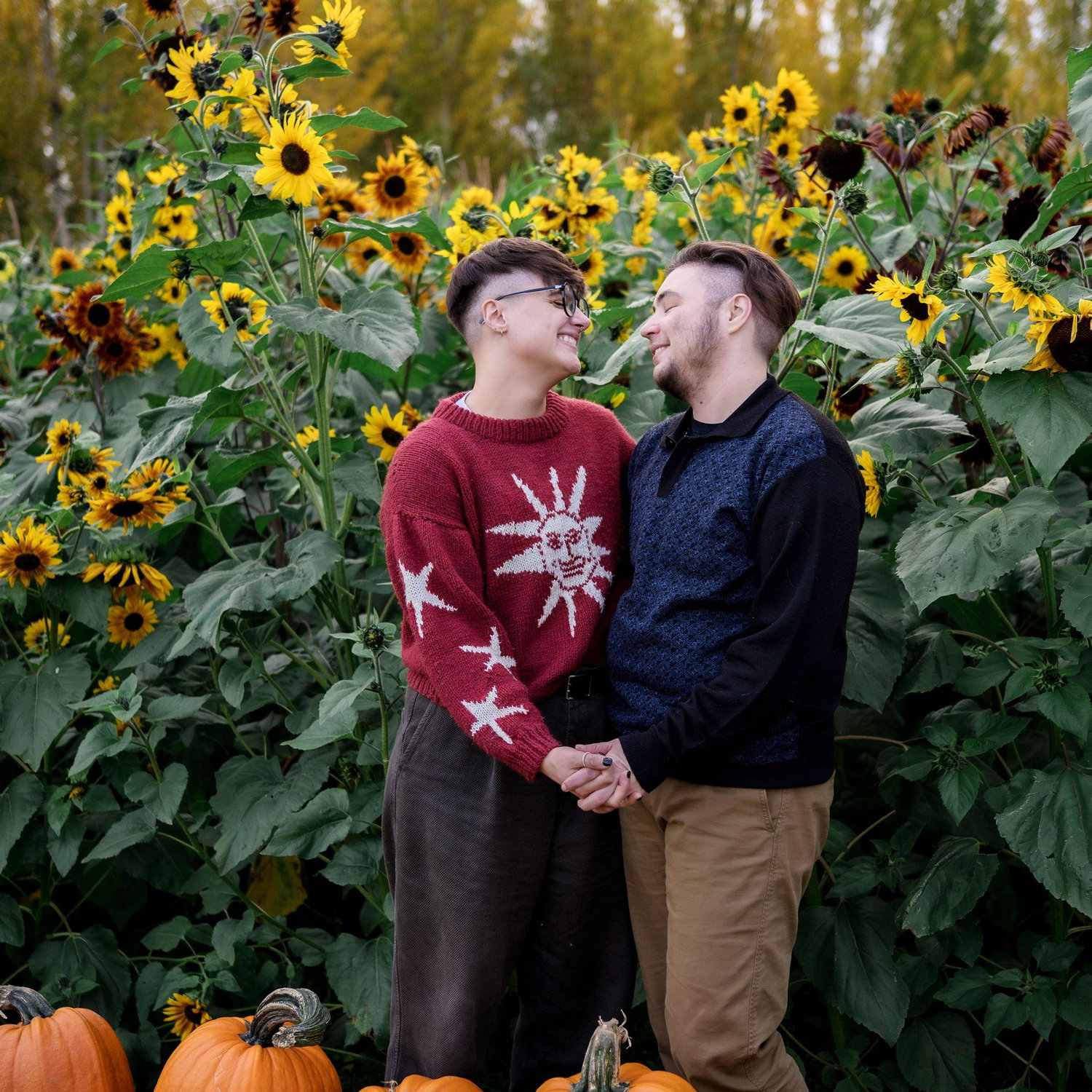 who is blocking the sun flowers