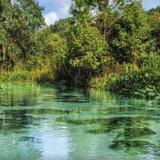 Emerald Cut Kayak Adventure