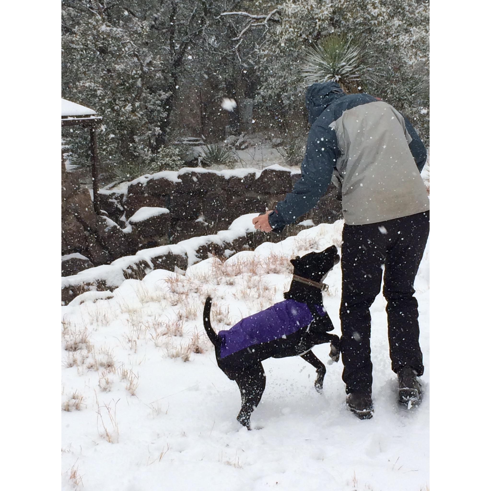 Landis and Summit and Arizona snow!