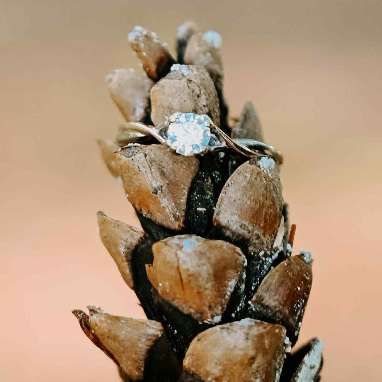 The beautiful ring that Mathew carefully picked out for Madison.