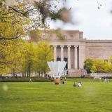 The Nelson-Atkins Museum of Art