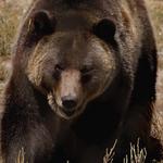 Riverside Discovery Center