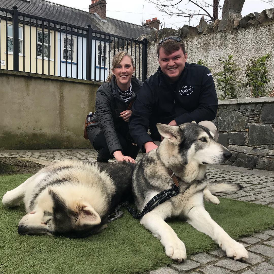 Meeting the direwolves from Game of Thrones in Northern Ireland