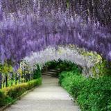 Giardino Bardini