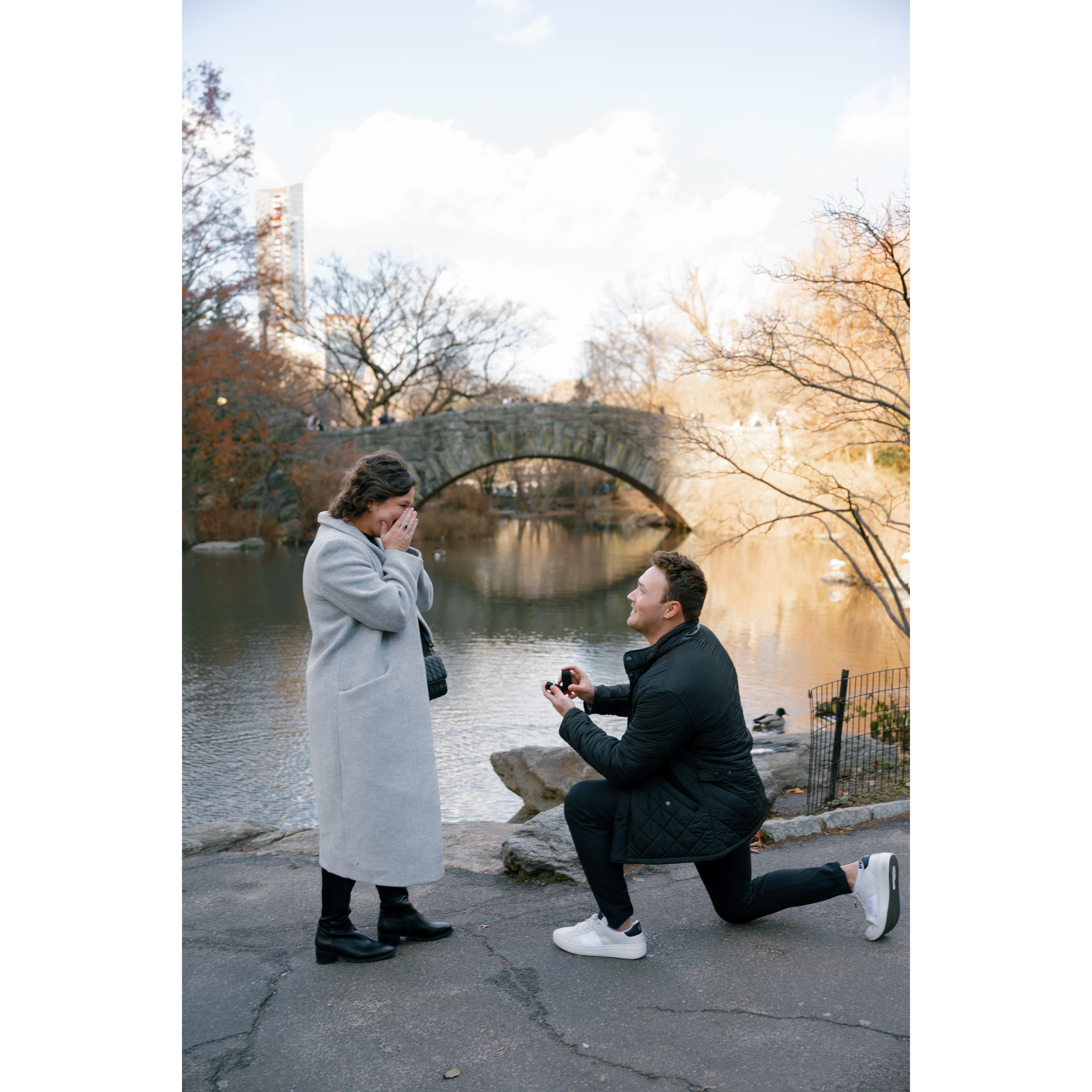 December 12th, 2025: The day Ryan proposed in Central Park, NY.