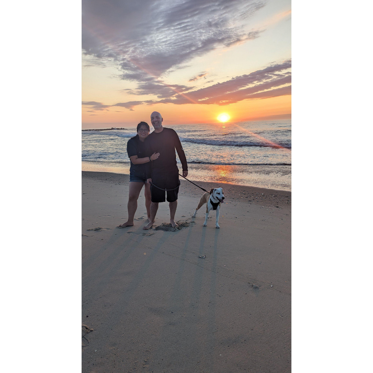 Early birds at the shore