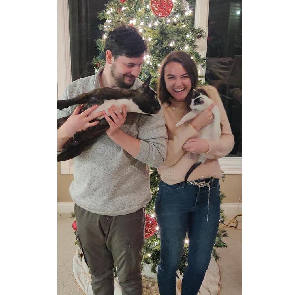 First family photo after we added our kitten, Louie, this Christmas!