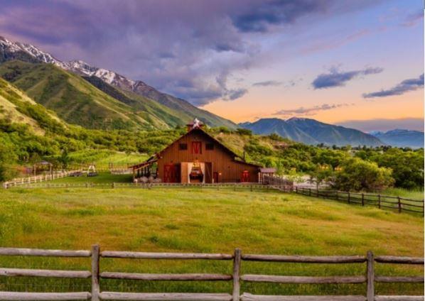 The Wedding Website of Shaina Lawrence and Joshua Bonvissuto