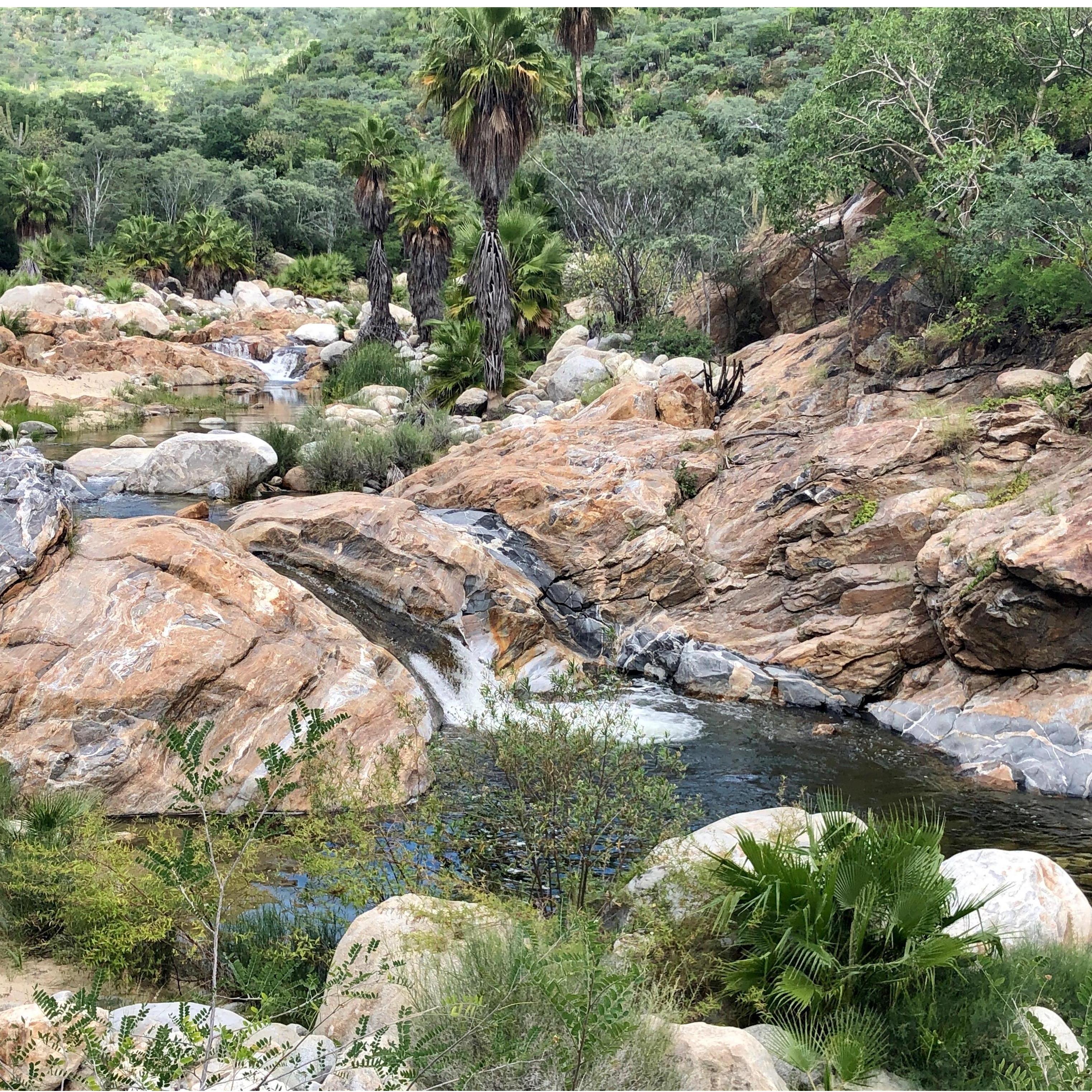Cascada Sol de Mayo Waterfall, Sierra De Laguna
Past the village of Santiago off Highway 1. Turn off Highway 1 towards Santiago, follow signs for the "Waterfalls" or Ranchero Ecologico Sol De Mayo.