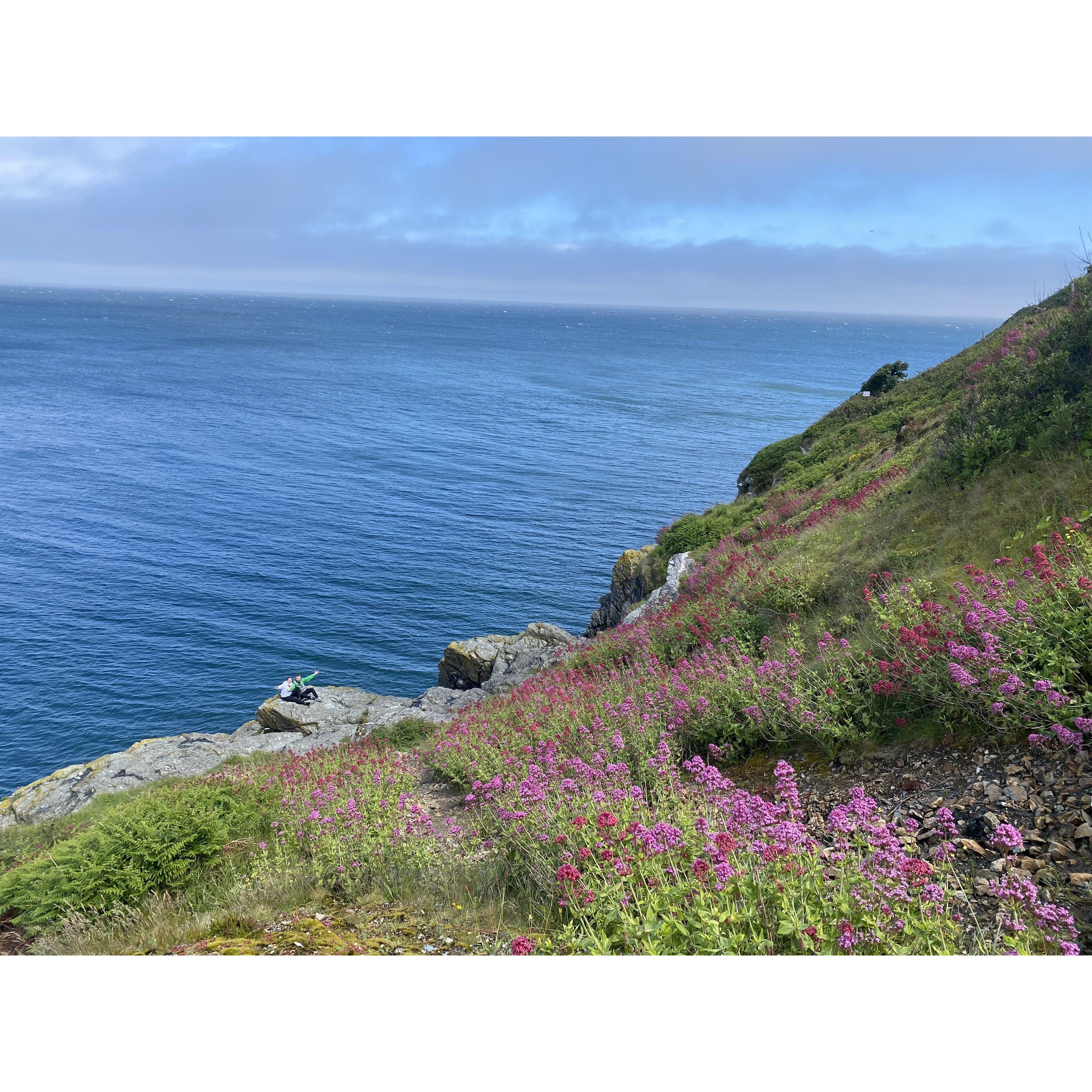 Howth Cliffs, Ireland