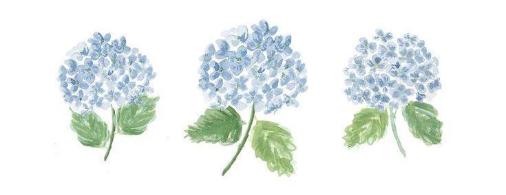 The Wedding Website of Tabitha Pearce and Luke Peters