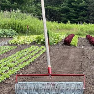 Seed bed roller