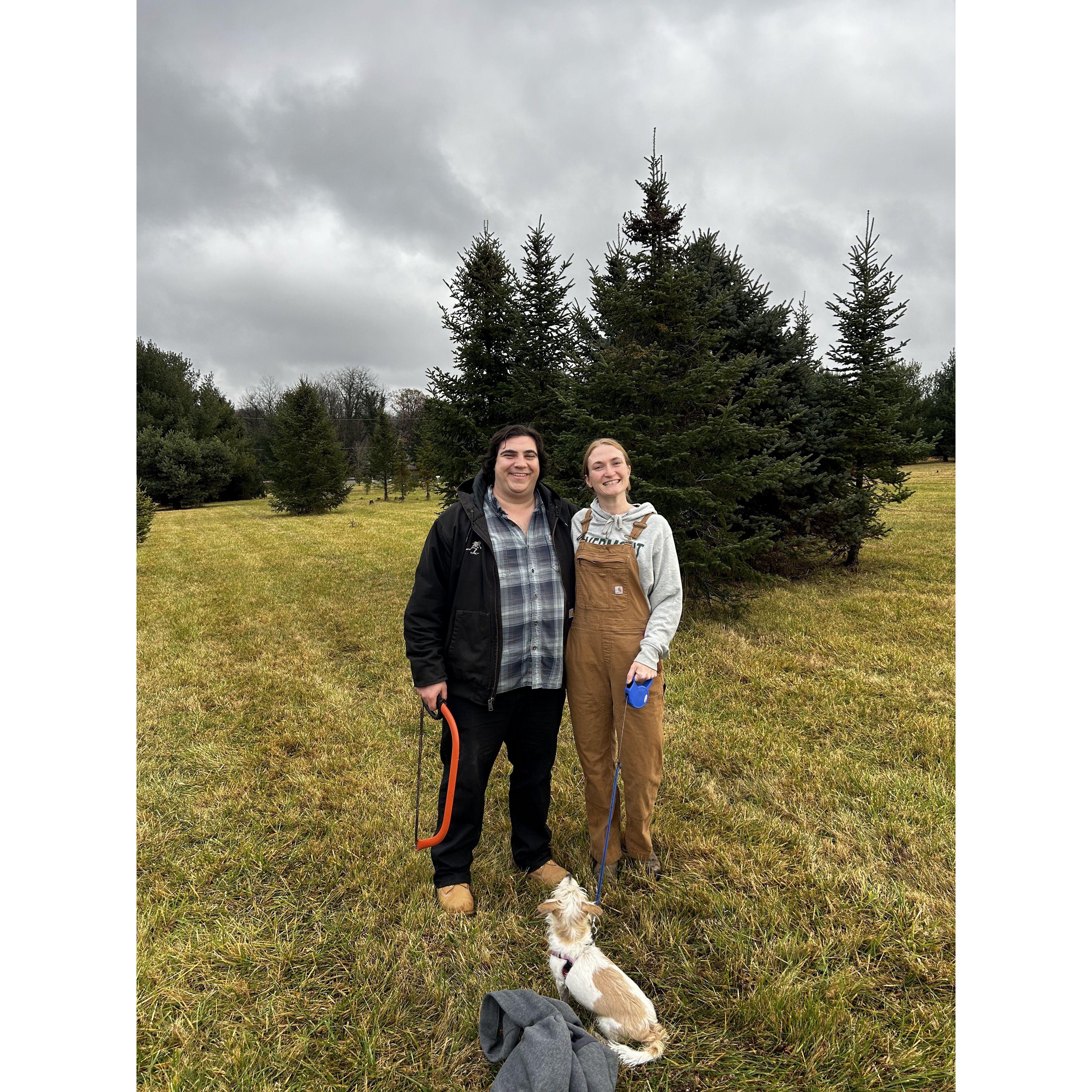 Cutting down our Christmas tree with Teagan!