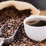 Coffee Tours