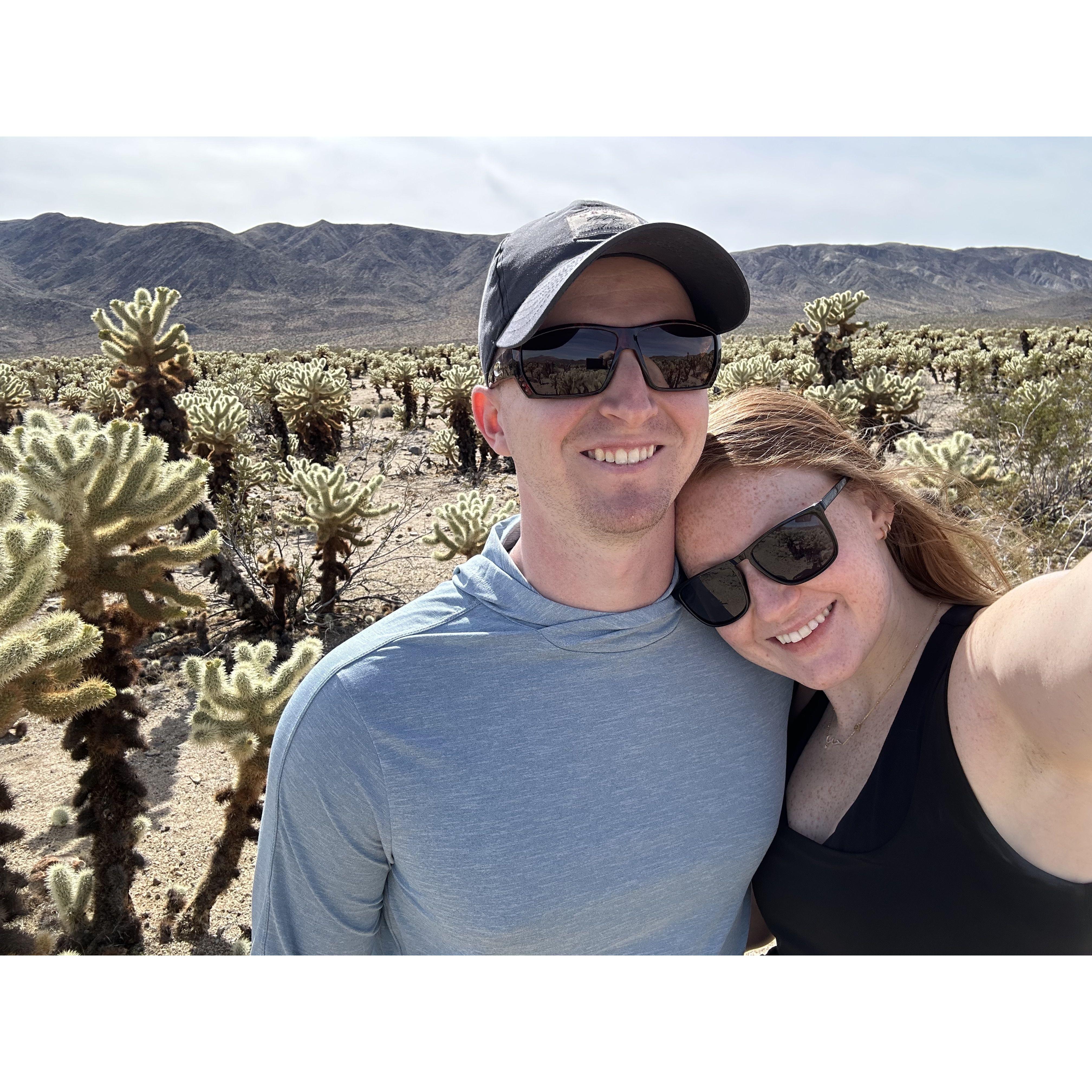 Joshua Tree National Park, California