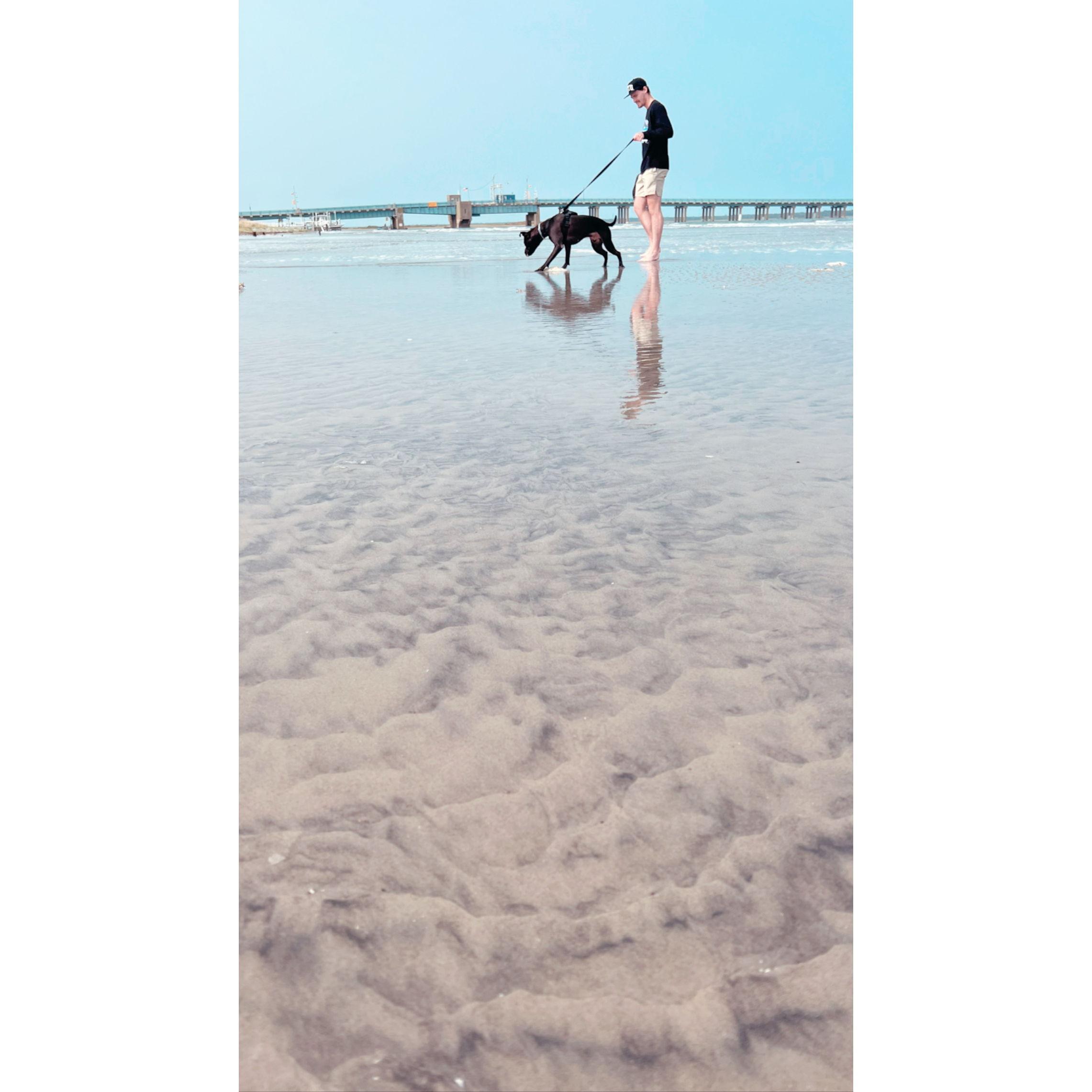 Rocky's First Time at the Beach