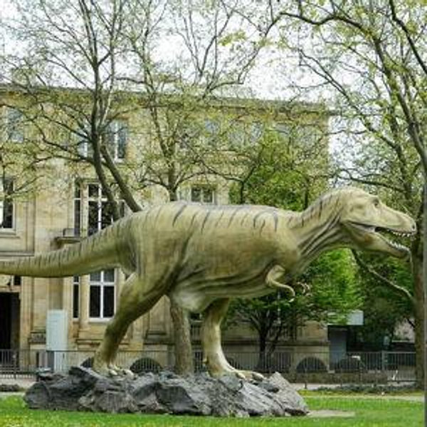 Senckenberg Natural History Museum (Naturmuseum Senckenberg) Frankfurt Germany Honeymoon
