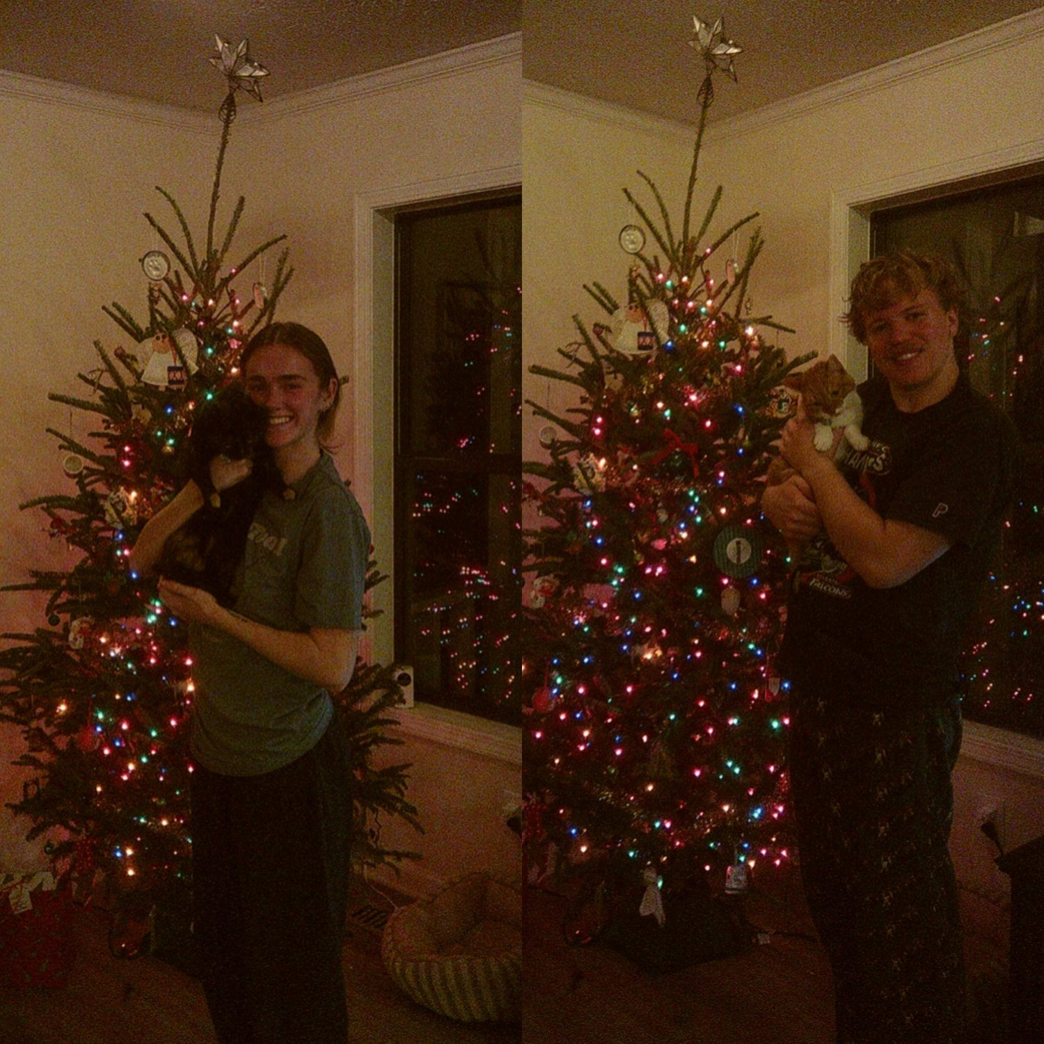 Our first Christmas in our new home, featuring Pabla and Momo