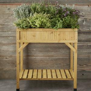 VegTrug Herb Garden | Wayfair