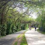 Katy Trail (Dallas)