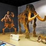Illinois State Museum