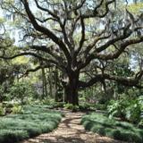 Washington Oaks Gardens State Park