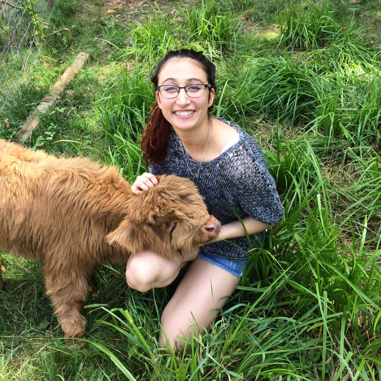Meeting the cows for the first time