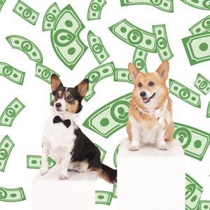 Cash Gifts